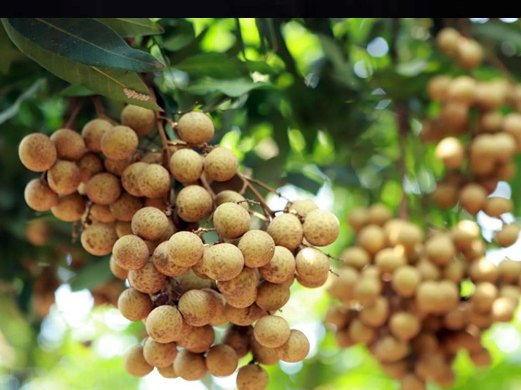 Những loại trái cây nóng, gây mụn "giấu mặt" ai cũng lỡ ăn