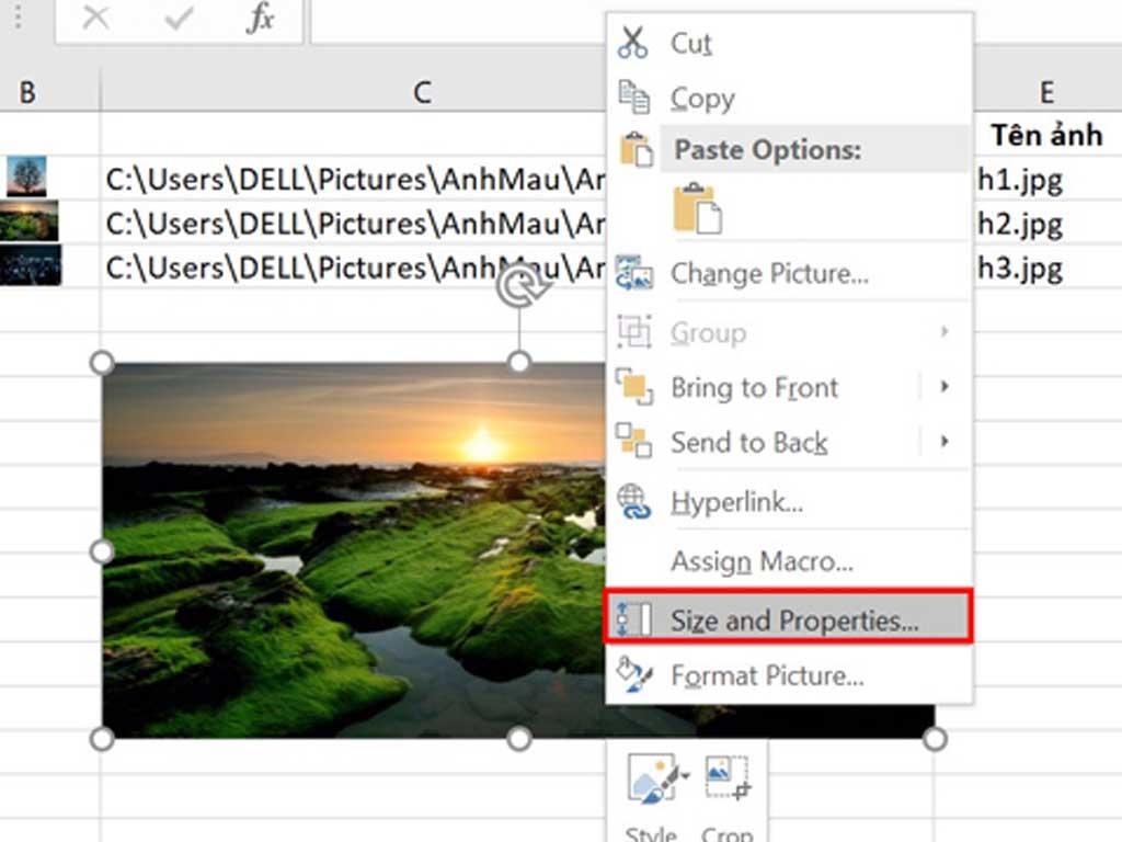 Cách chèn ảnh vào file Excel "siêu nhanh" 3 bước