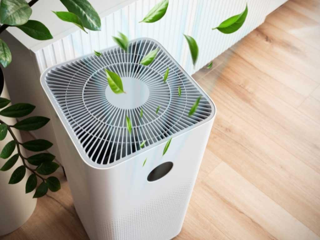 Máy lọc không khí có tạo oxy không? 5 sự thật nhiều người hiểu sai bét