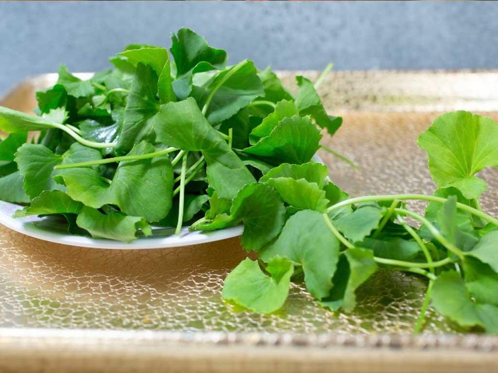 Rau má có tác dụng gì cho da? 5 lợi ích giúp da đẹp "bừng sáng" chỉ sau vài tuần