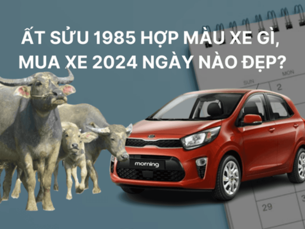 Tuổi Sửu 1985 mua xe hợp màu gì: Chọn đúng màu, tài lộc kéo về "ào ào"
