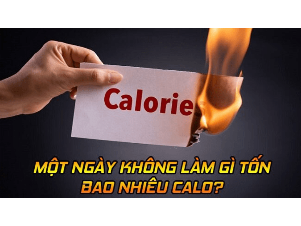 1 ngày cơ thể tự đốt bao nhiêu calo: Sự thật khiến ai cũng “ngã ngửa”