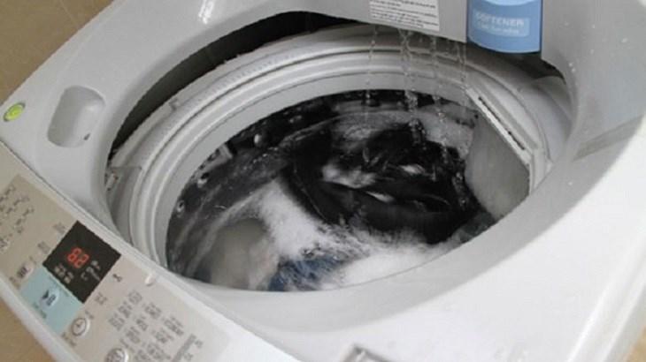 Sửa máy giặt LG không xả nước