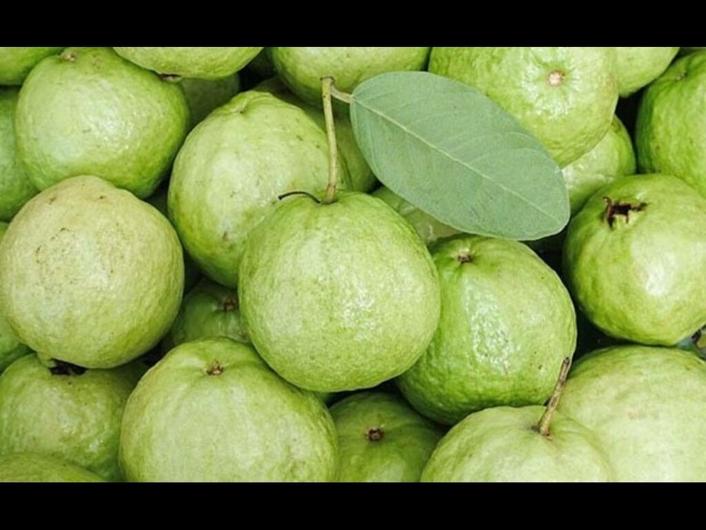 Cách làm nước ép ổi bằng máy xay sinh tố