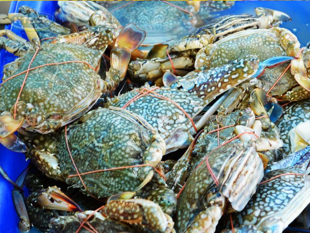 cach-so-che-ghe-xanh-tuoi-ngon