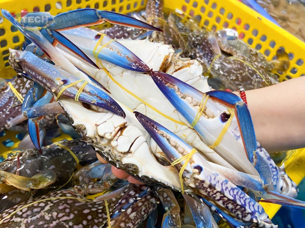 ghe-trung-hay-ghe-thit-ngon-hon