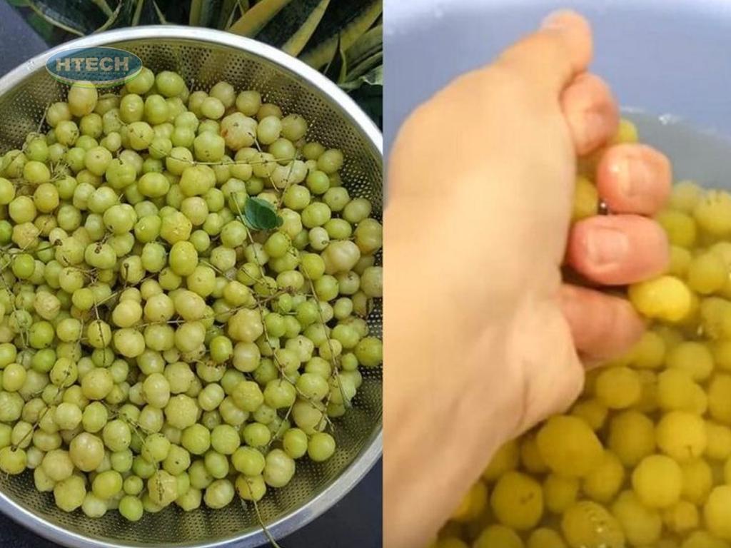 cach-lam-mut-chum-ruot-don-gian