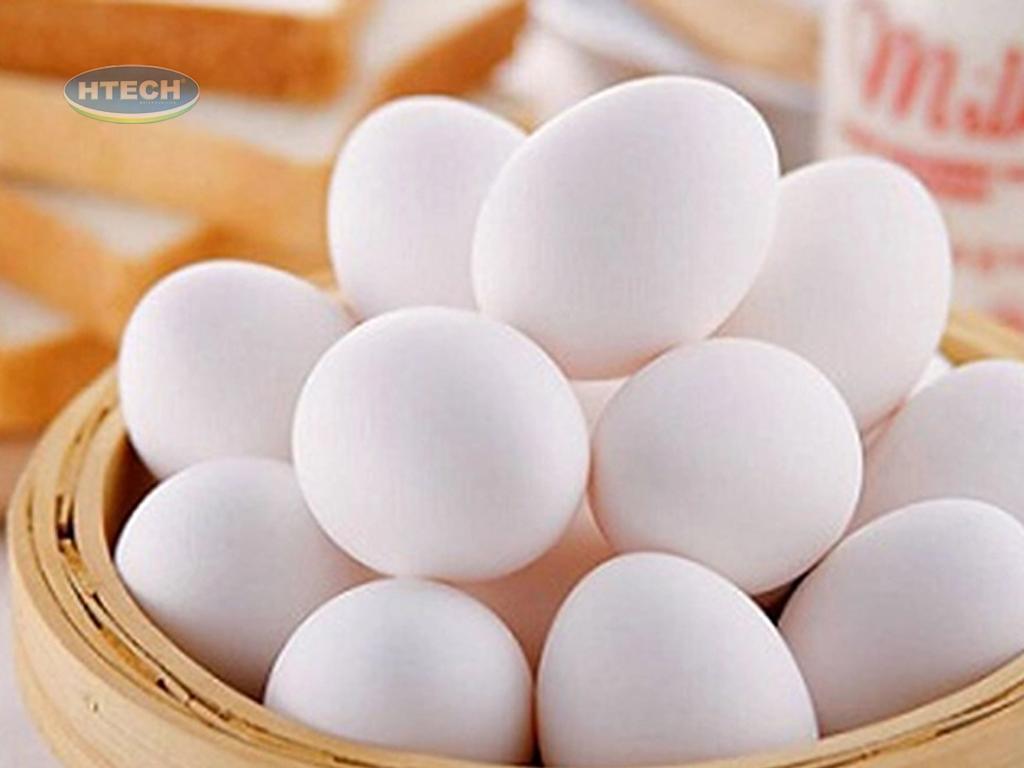 trung-ga-co-lam-trung-muoi-duoc-khong