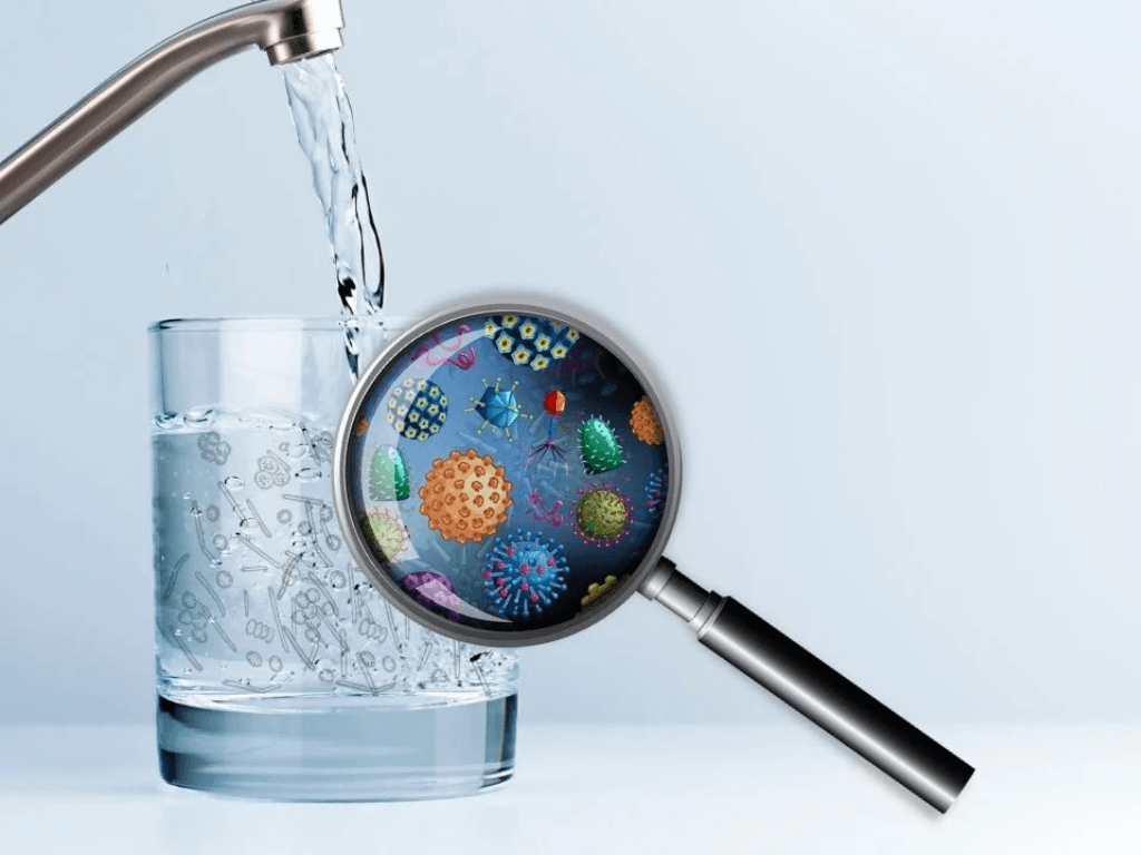 vi-sao-nuoc-sinh-hoat-lai-co-the-chua-vi-khuan-e-coli