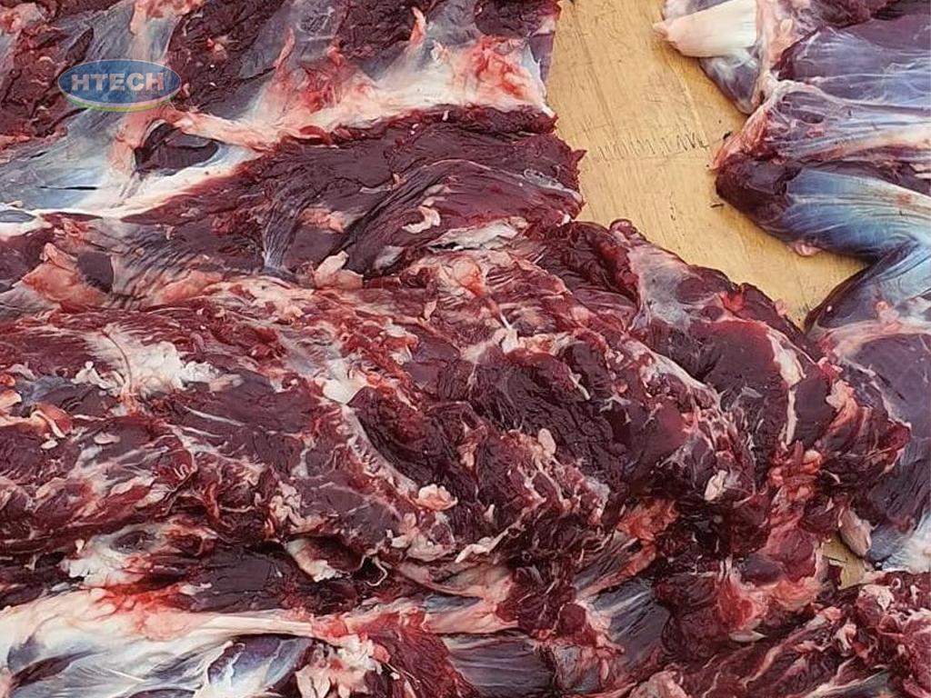 cach-chon-thit-trau-tuoi-ngon