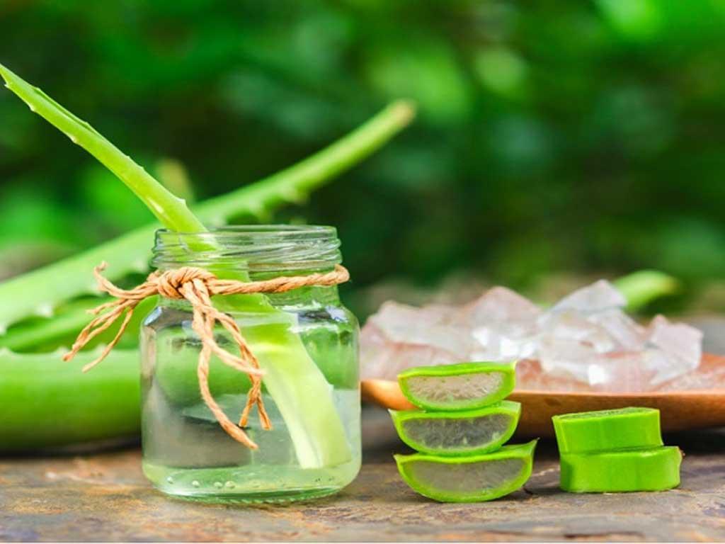 cach-nau-nuoc-nha-dam-hat-chia