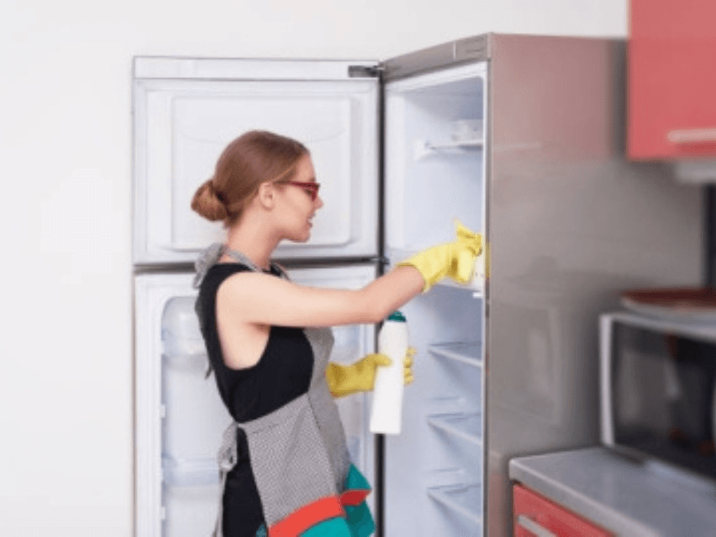 Dịch vụ vệ sinh tủ lạnh là gì?