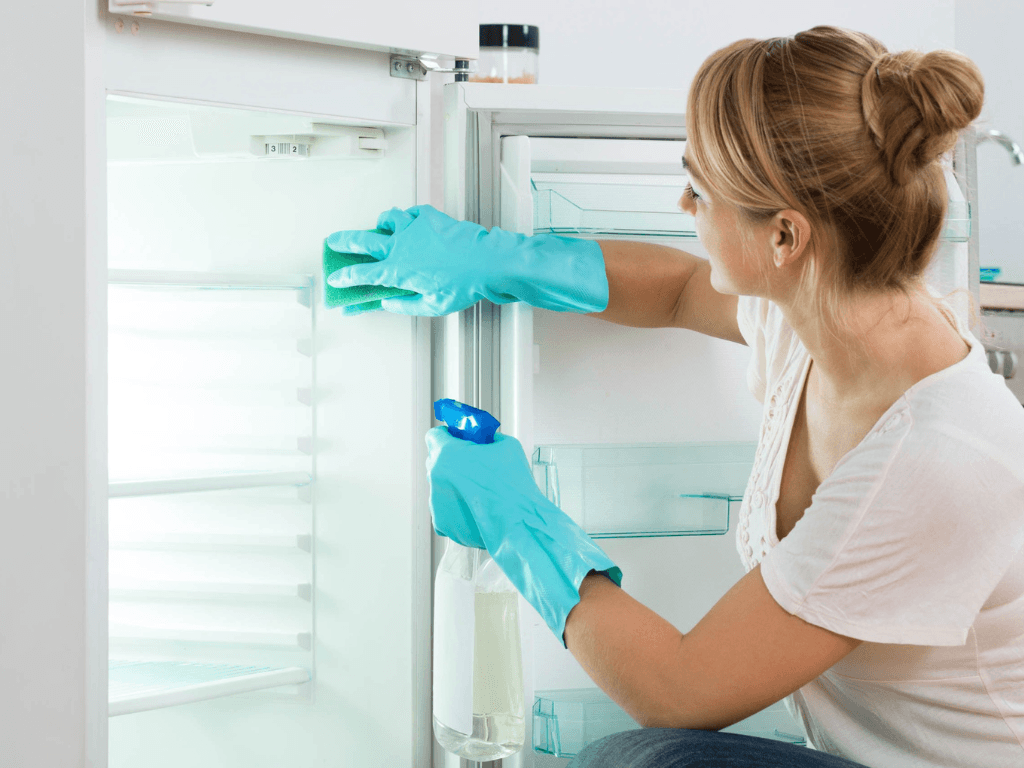 Cách nhận biết tủ lạnh bị mốc?