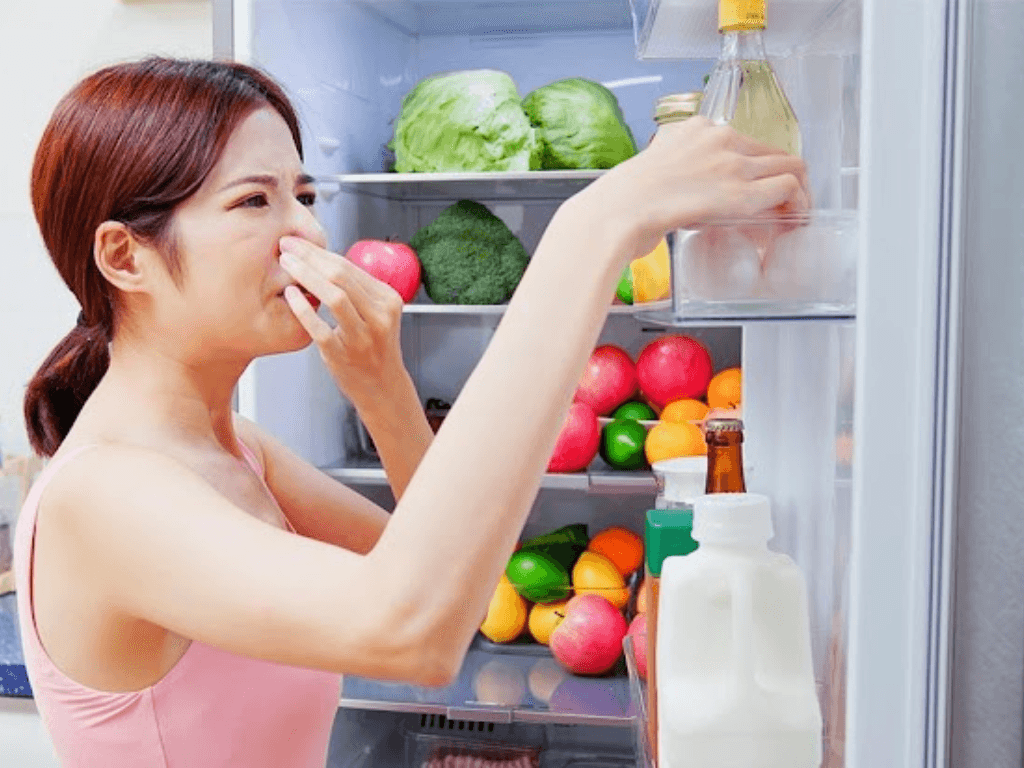 Khử mùi tủ lạnh có khó không? Tại sao cần khử mùi tủ lạnh?