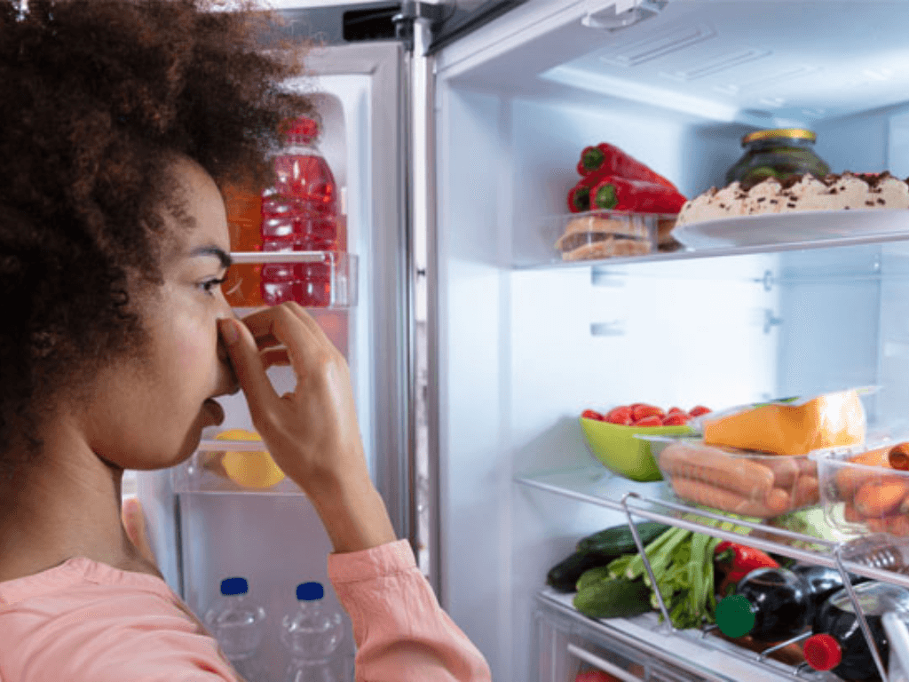 Tổng hợp tất cả các cách khử mùi tủ lạnh hiệu quả
