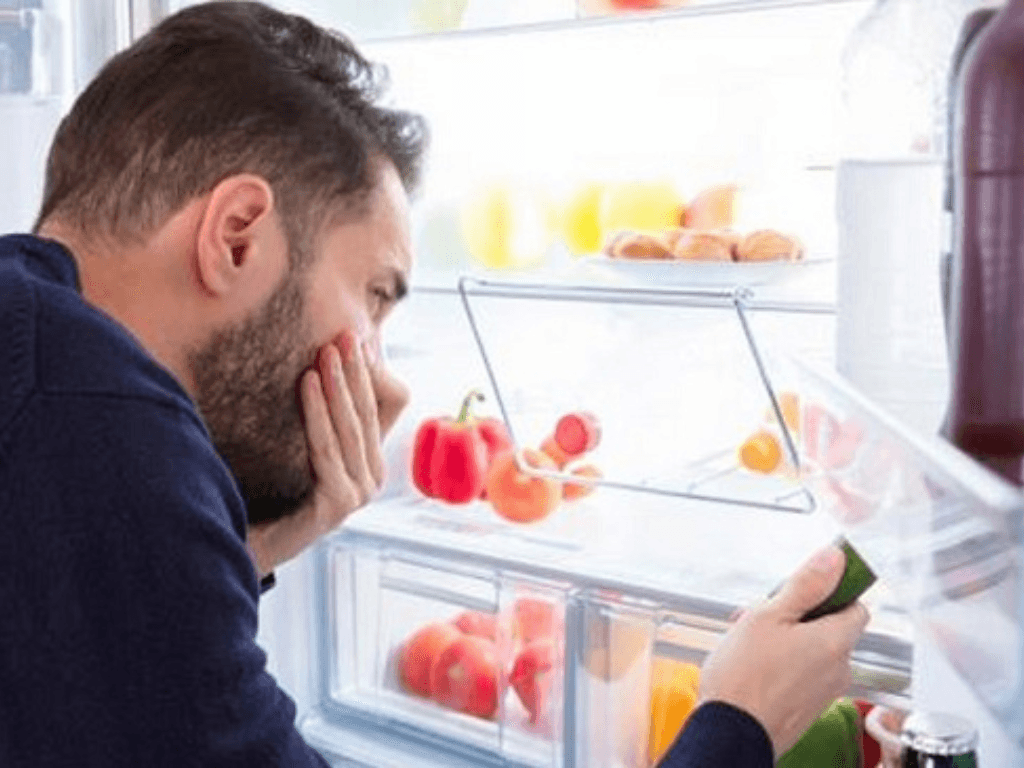Cách khử mùi thịt thối trong tủ lạnh