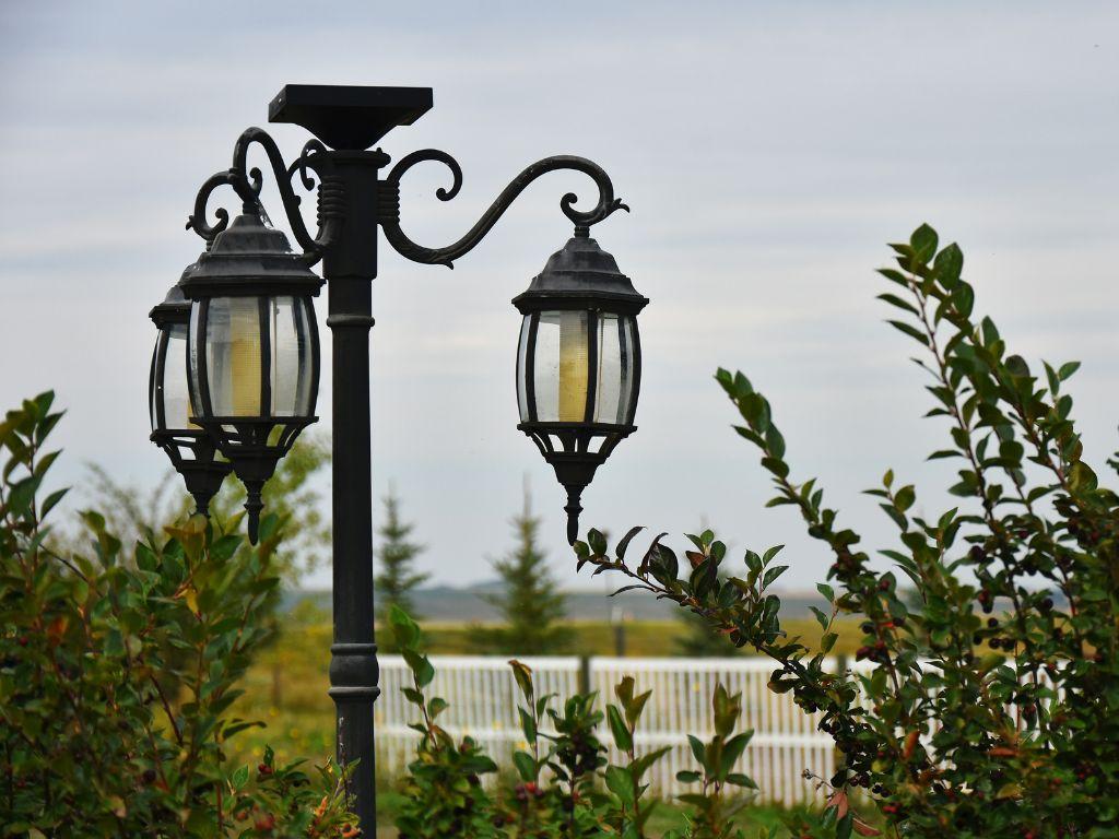 Lựa chọn bóng đèn trụ cổng phù hợp nhất cho vườn nhà bạn