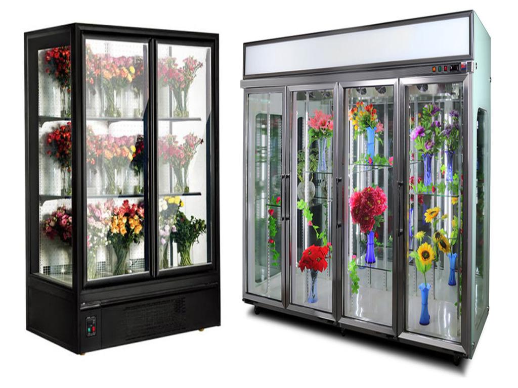 Hoa tươi để tủ lạnh aqua 284 lít? Cách bảo quản hoa tươi hiệu quả