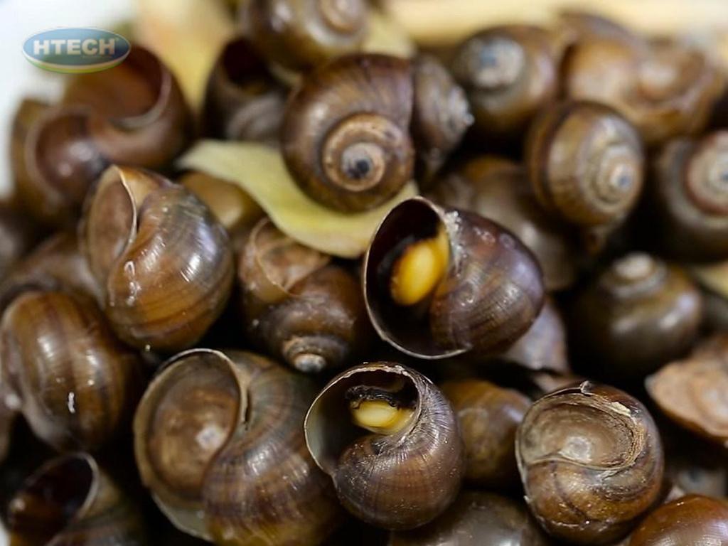 cach-chon-oc-nau-chuoi-dau-ngon