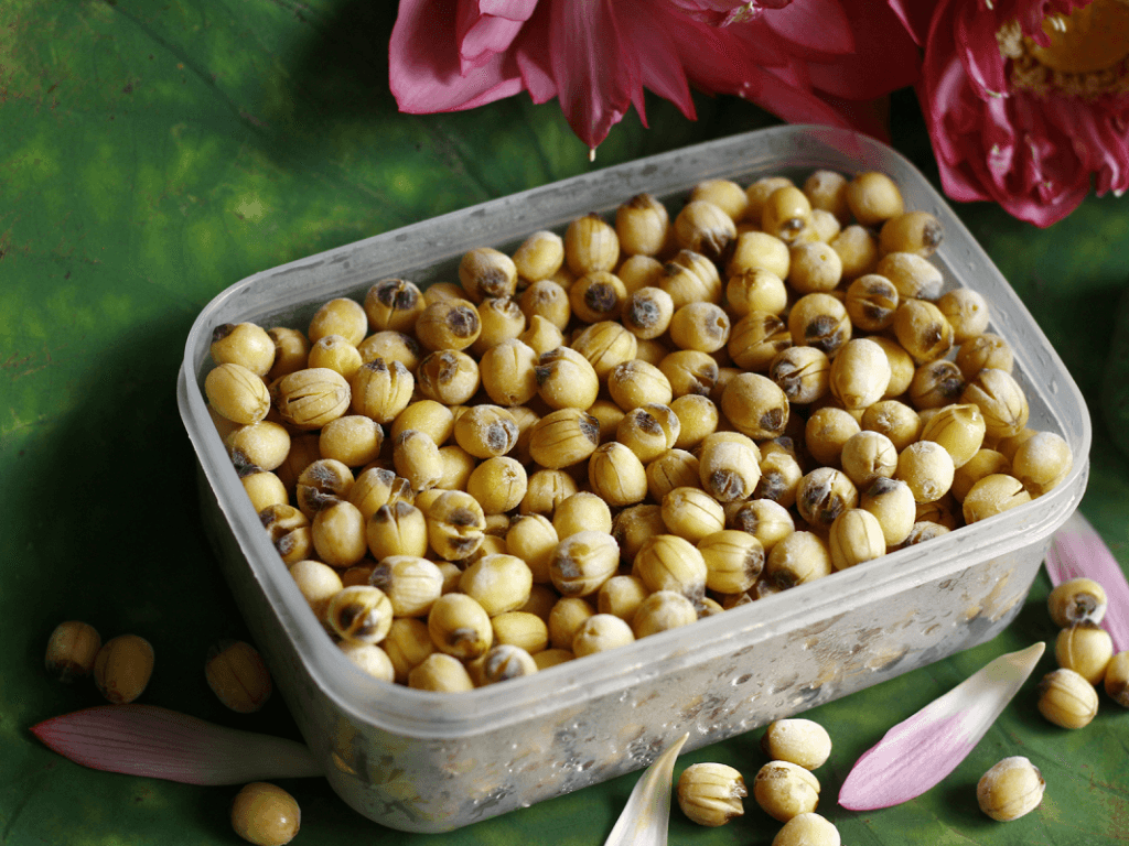 bao-quan-hat-sen-tuoi-bang-cach-say-kho-hoac-phoi-kho