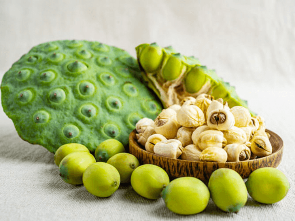 bao-quan-hat-sen-tuoi-ngan-han-trong-tu-lanh