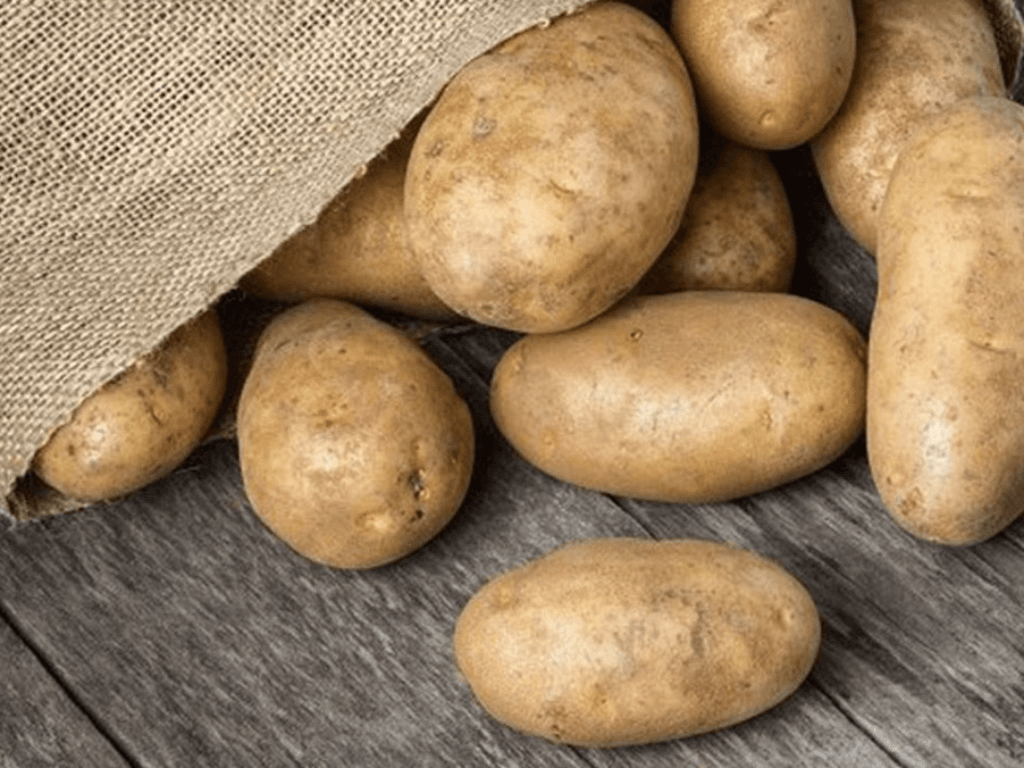bao-quan-khoai-tay-o-nhiet-do-phong