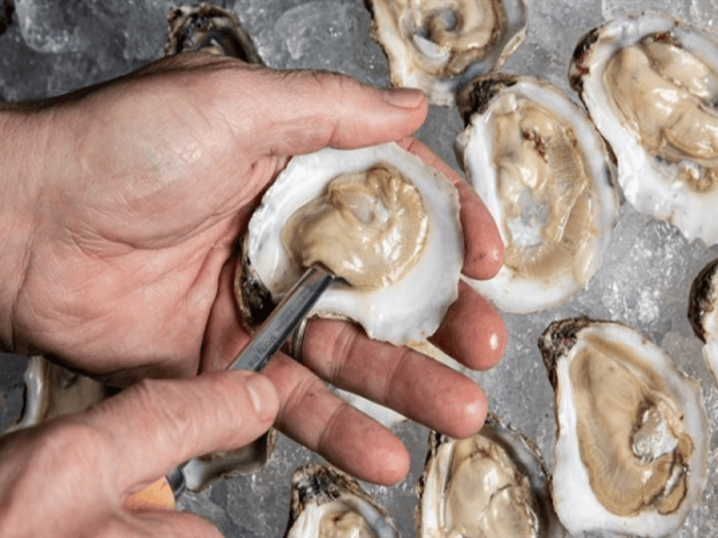 cach-bao-quan-hau-song-trong-nuoc-bien-hoac-da-lanh