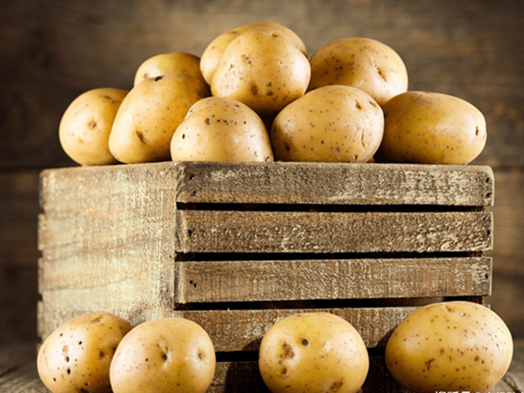 cach-bao-quan-khoai-tay-trong-tu-lanh-co-nen-hay-khong