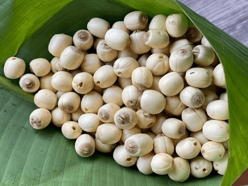 nhung-sai-lam-thuong-gap-khi-bao-quan-hat-sen-tuoi