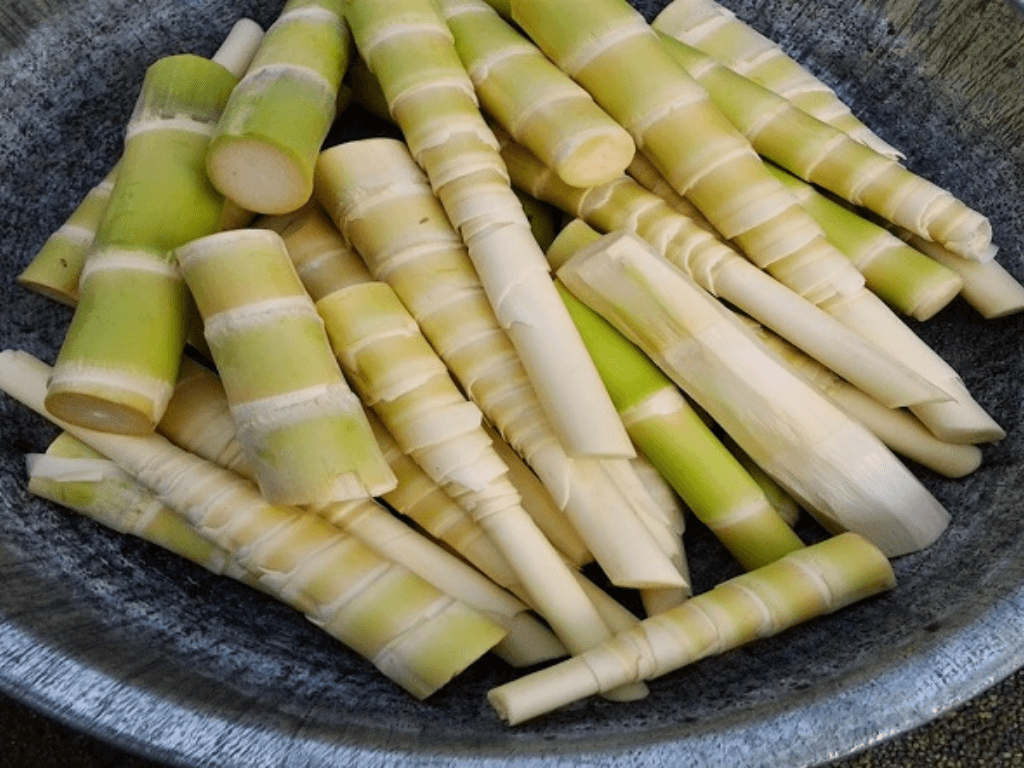 Cách bảo quản măng tươi để được lâu, không đắng, lưu giữ hương vị núi rừng