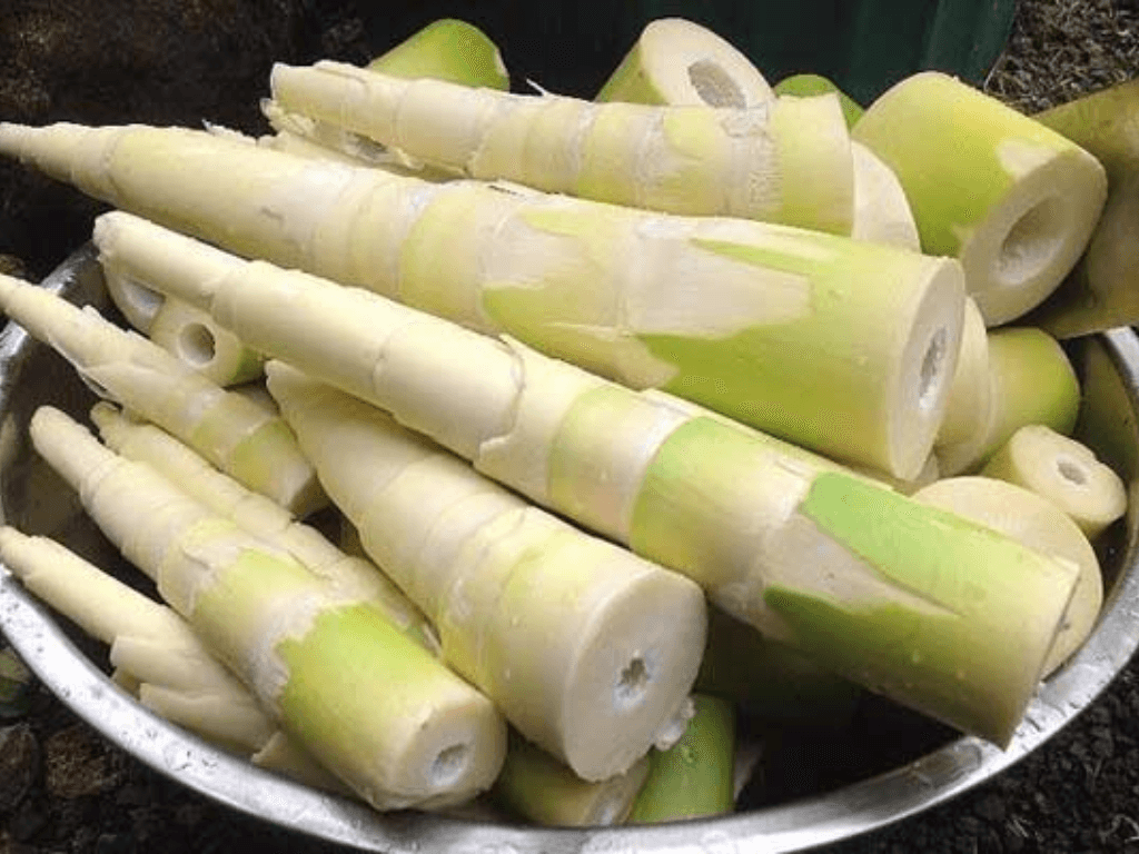 mot-so-luu-y-khi-bao-quan-mang-tuoi