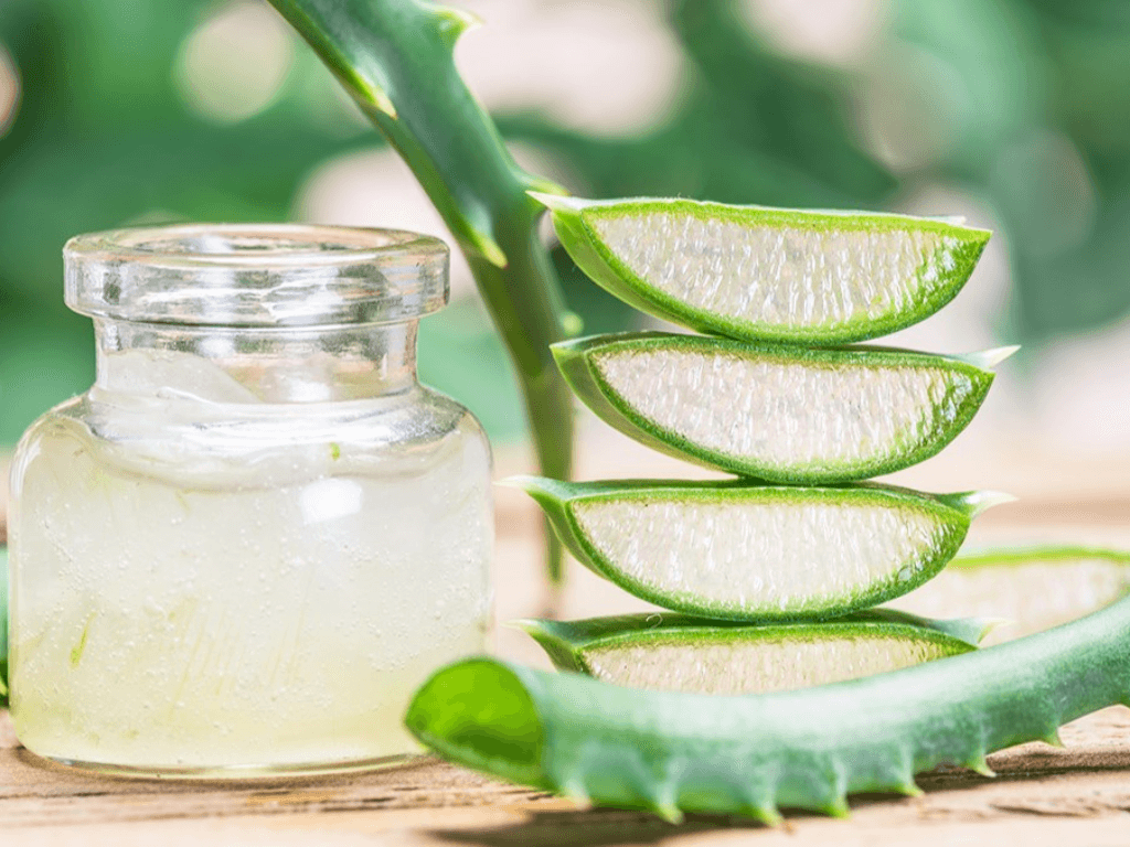 bao-quan-nha-dam-trong-tu-lanh-giu-duoc-5-7-ngay