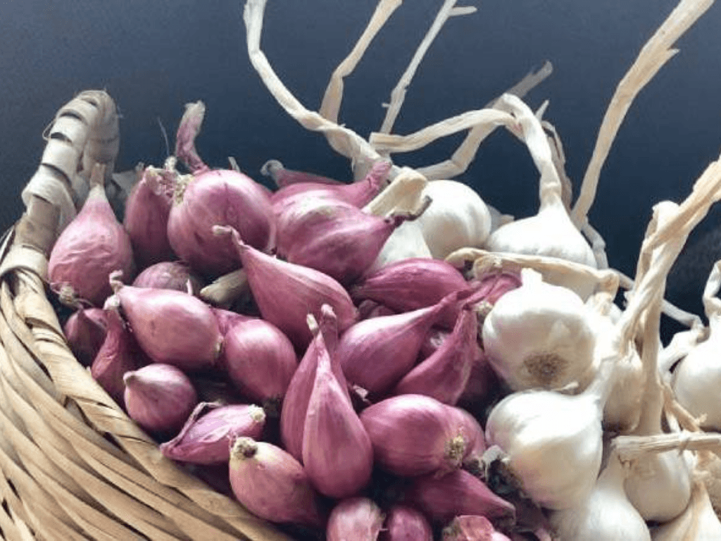 cach-bao-quan-hanh-kho-ca-nam-khong-hong