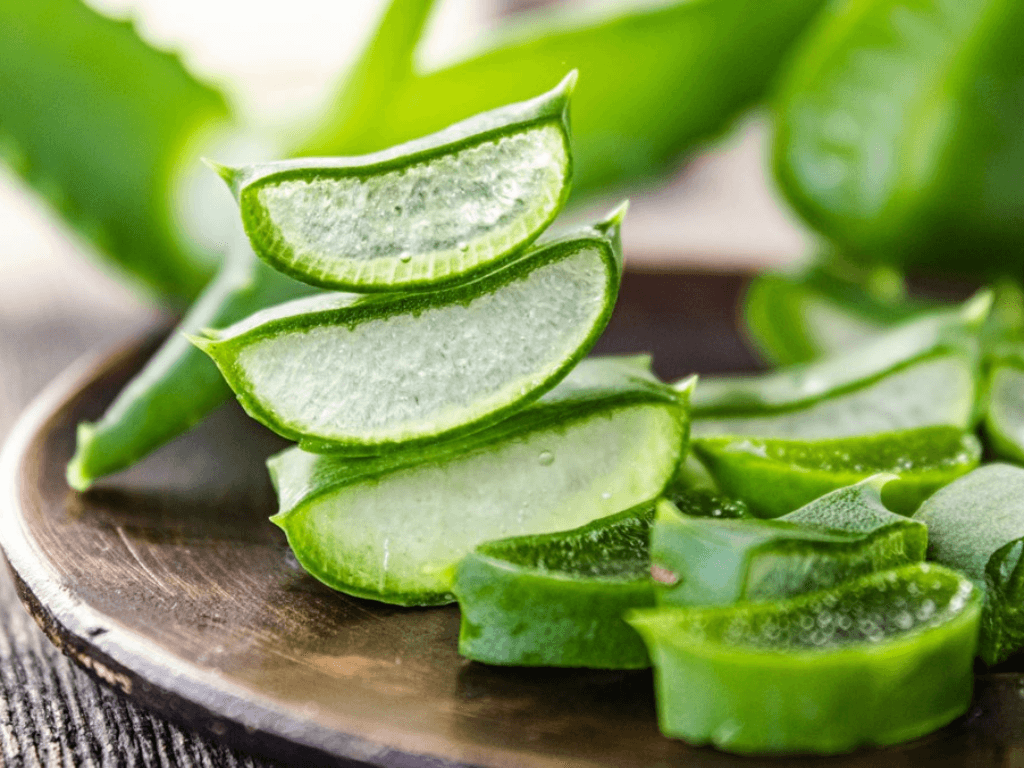 huong-dan-so-che-nha-dam-truoc-khi-bao-quan