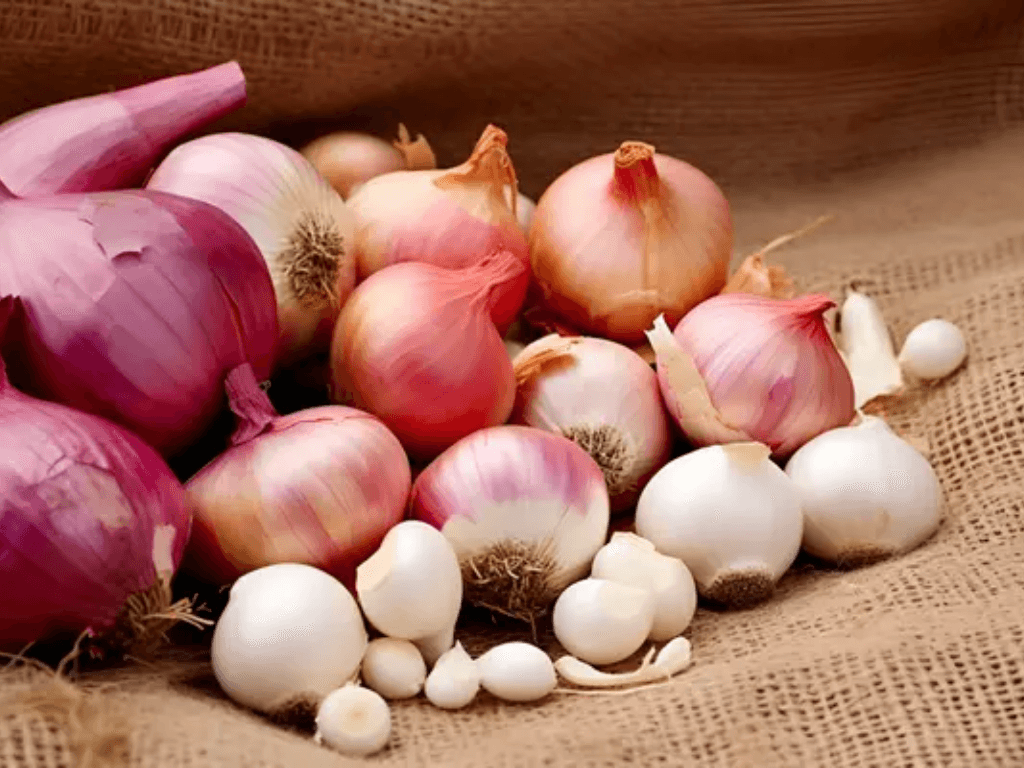 luu-y-quan-trong-khi-bao-quan-hanh-toi-kho