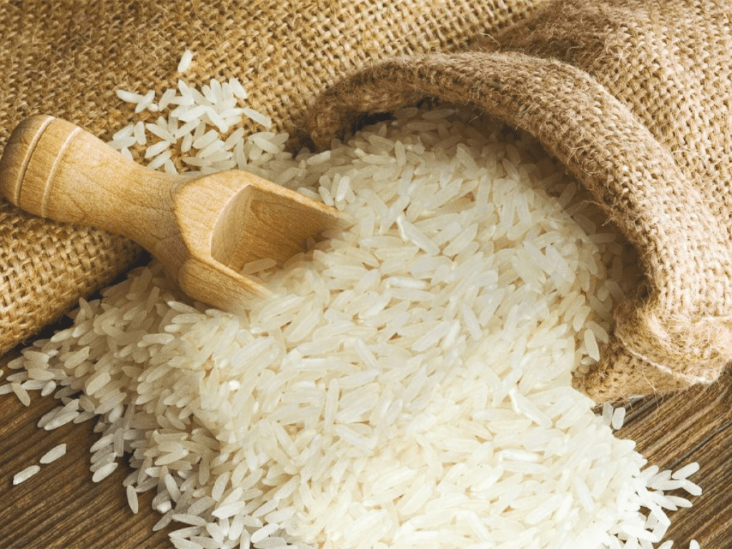 vi-sao-vao-mua-mua-am-gao-thuong-bi-moc-mot