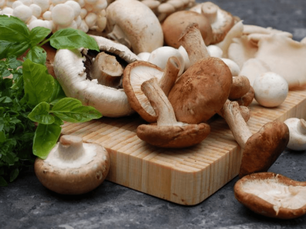 Cách bảo quản nấm rơm được lâu như vừa hái mà không mất chất dinh dưỡng