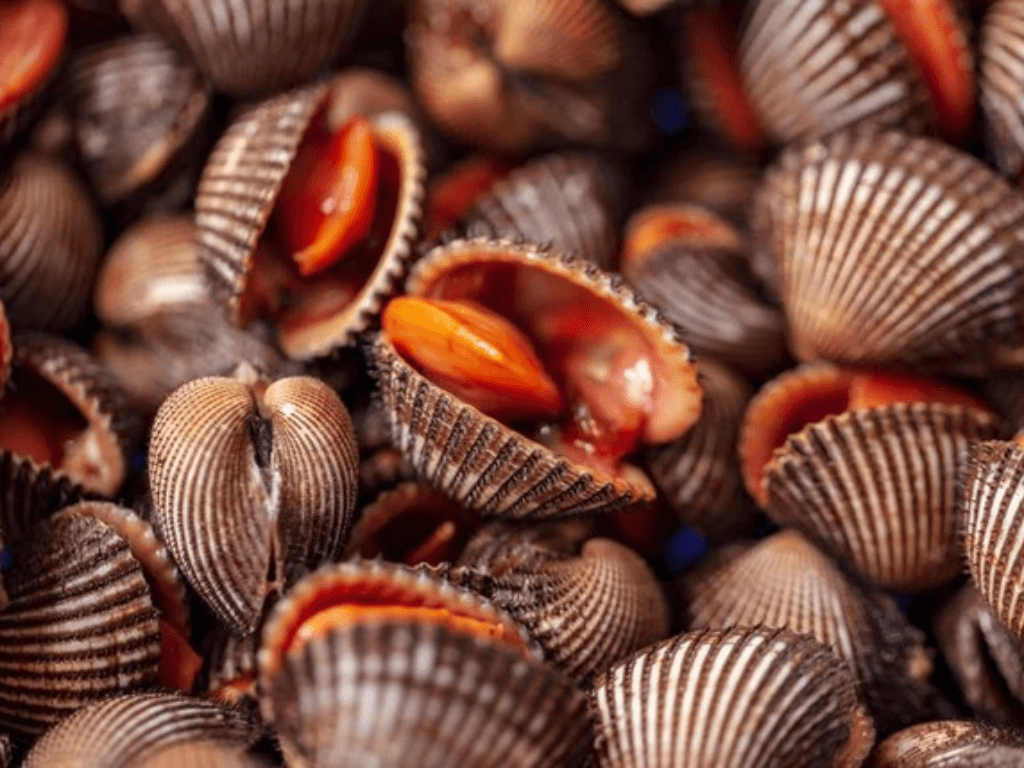 cach-bao-quan-so-huyet-song-lau-bang-cach-ngam-nuoc-muoi-loang