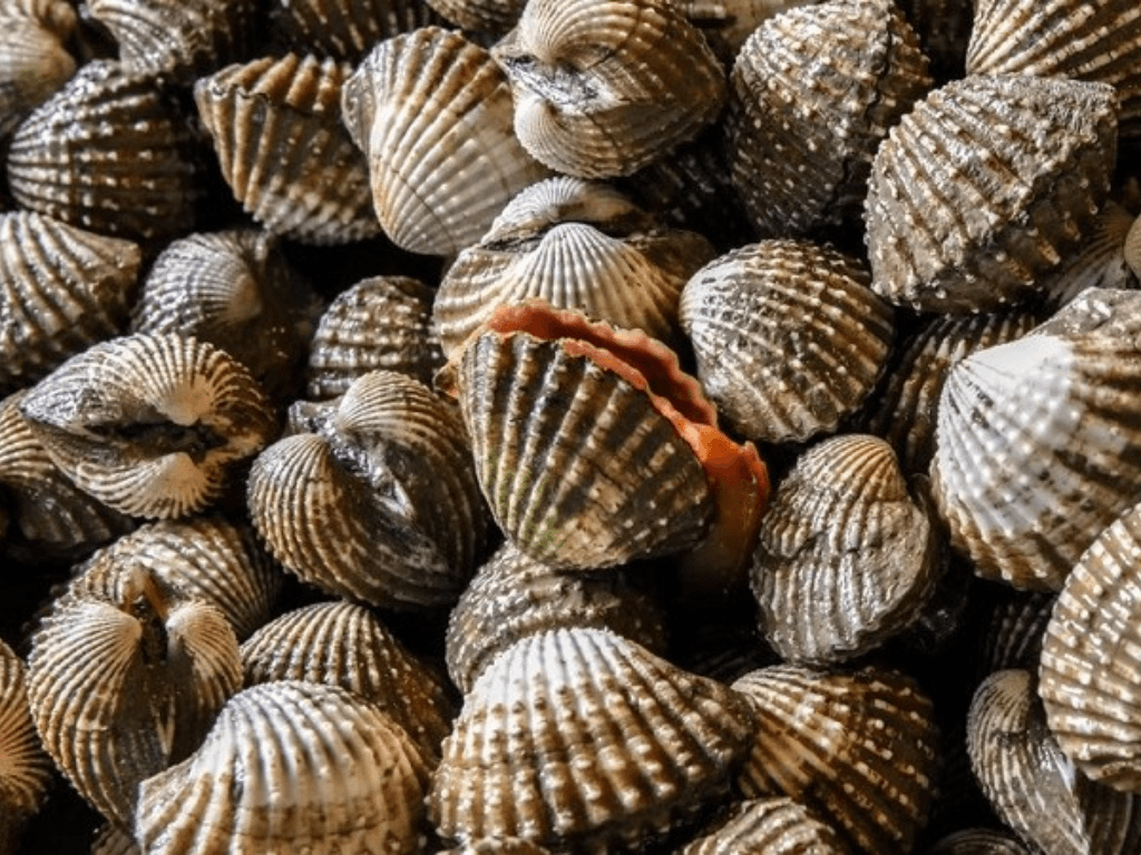 cach-bao-quan-so-huyet-song-o-nhiet-do-thuong