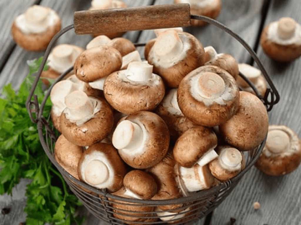 cach-nhan-biet-nam-rom-bi-hong-va-cach-xu-ly-ban-can-biet