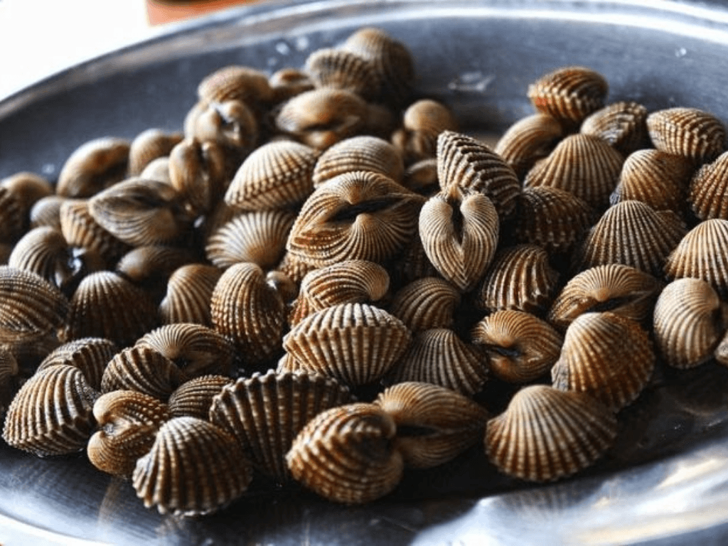 cach-nhan-biet-so-huyet-con-tuoi-hay-da-chet