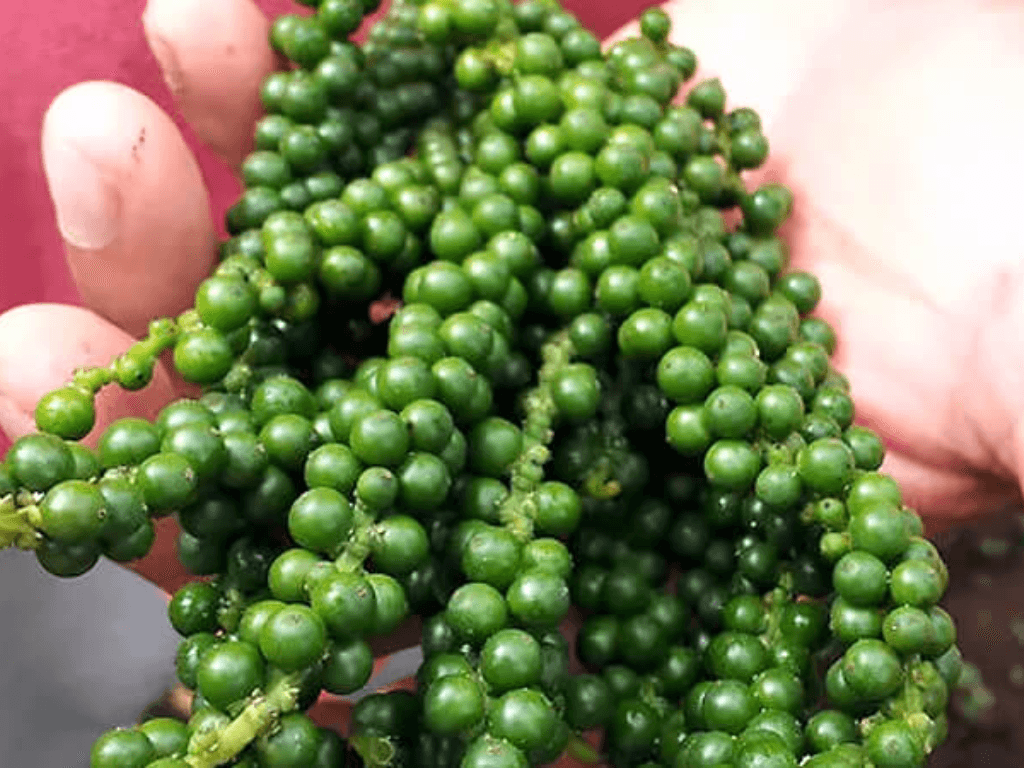 nhung-luu-y-khi-bao-quan-tieu-xanh