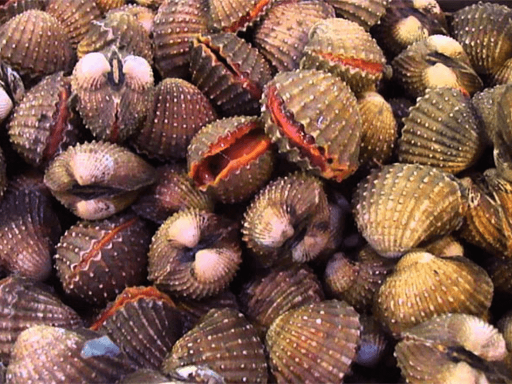 nhung-sai-lam-can-tranh-khi-bao-quan-so-huyet-song