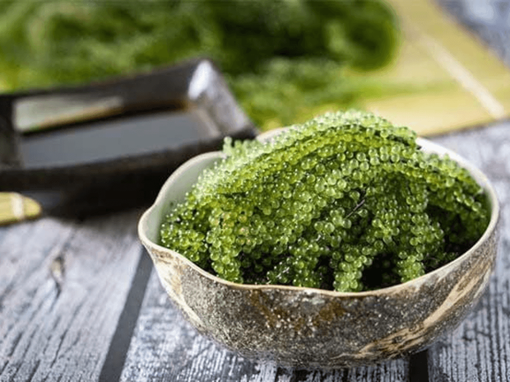 cach-su-dung-rong-nho-kho-sau-khi-bao-quan