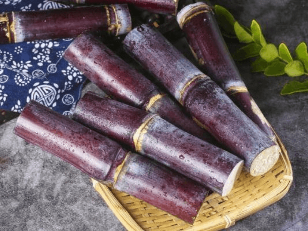 Cách bảo quản cây mía tươi lâu không lo hỏng, tha hồ thưởng thức