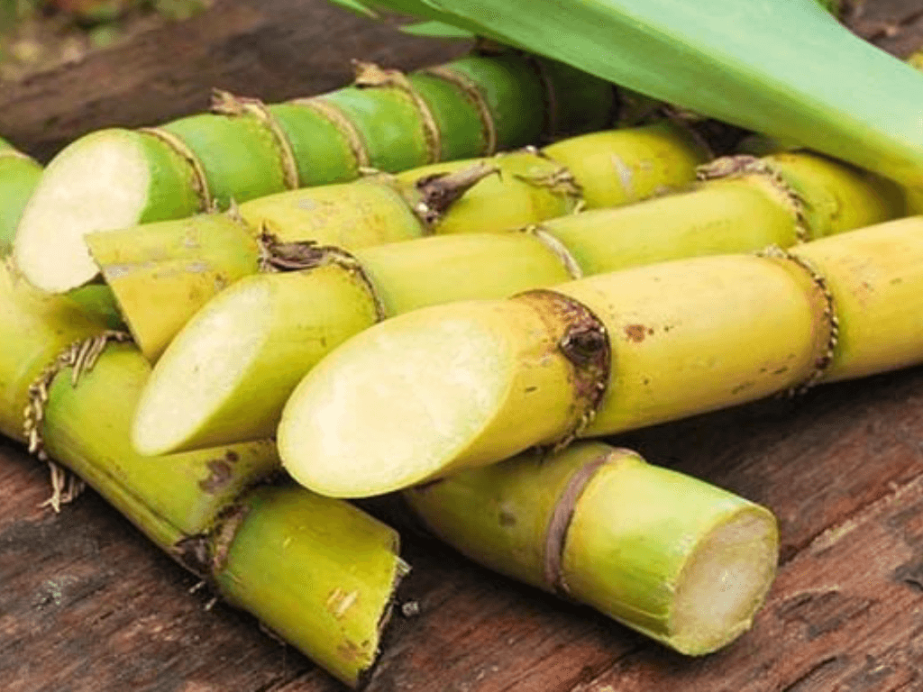 mot-so-meo-hay-bao-quan-mia-tuoi-lau-hon