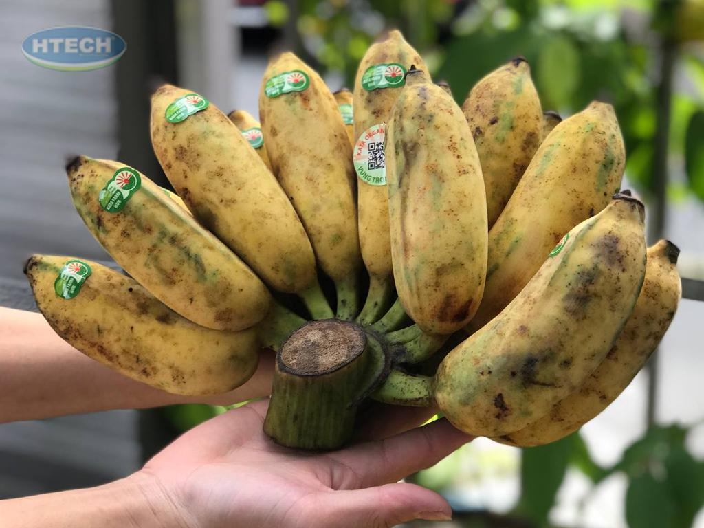 cach-lam-che-chuoi-nuoc-cot-dua