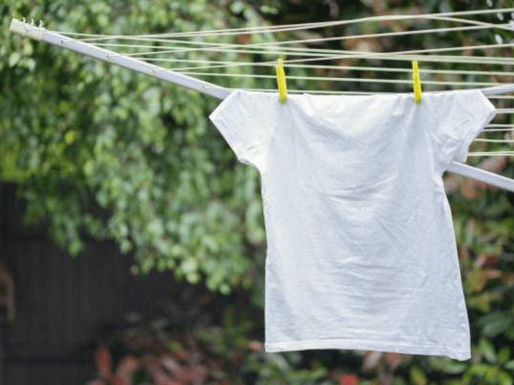 meo-ngan-ngua-quan-ao-bi-moc-trong-mua-nom-am