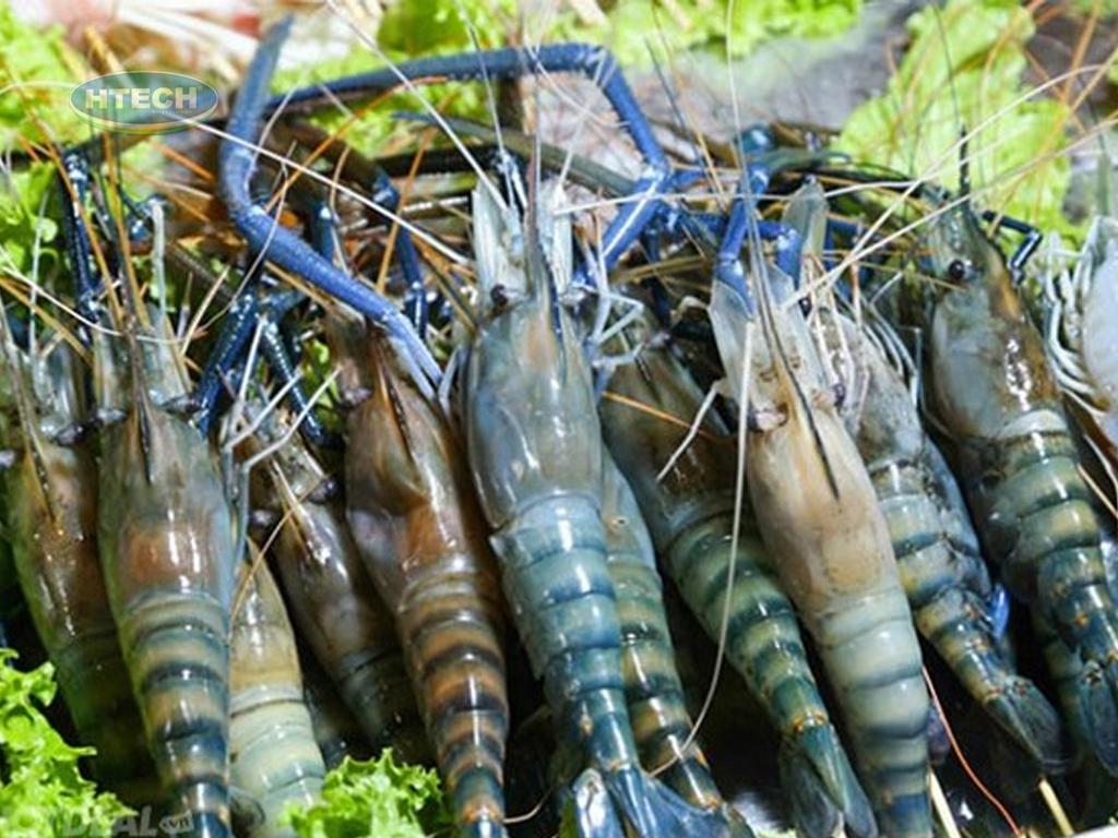 cach-lam-lau-tu-xuyen-bang-goi-gia-vi