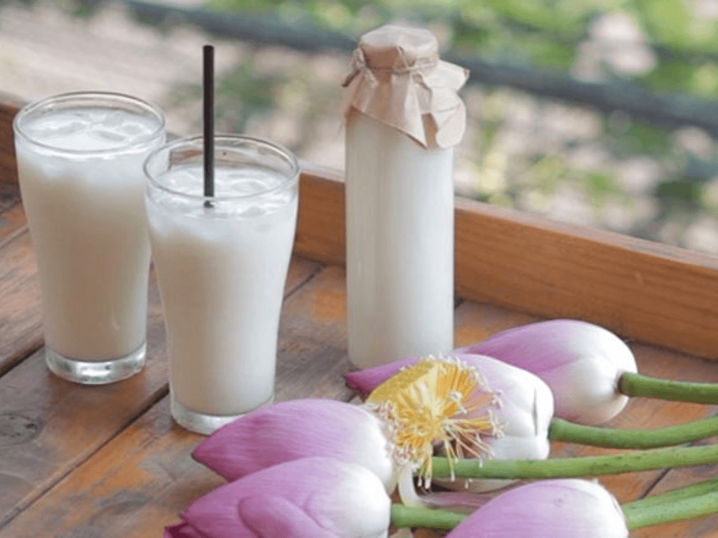 sua-hat-sen-la-dua-huong-thom-thanh-mat